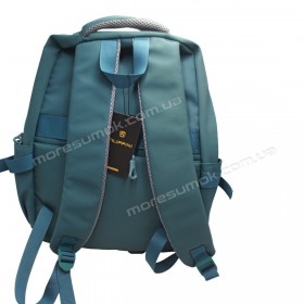 Спортивные рюкзаки LD9850 green