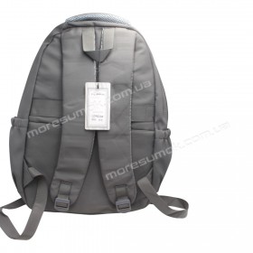 Спортивные рюкзаки LD9823 gray