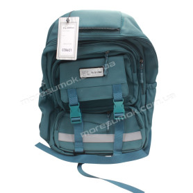 Спортивні рюкзаки LD9823 green