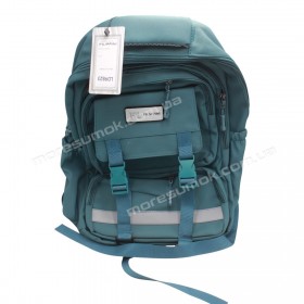 Спортивные рюкзаки LD9823 green