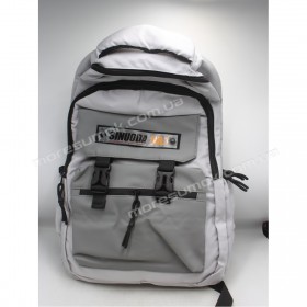 Спортивные рюкзаки SN3880 light gray