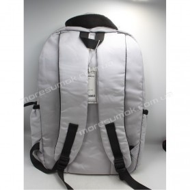 Спортивні рюкзаки SN3880 light gray Спортивні рюкзаки SN3880 light gray