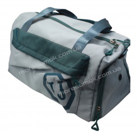 Спортивні сумки 7001 light blue Спортивні сумки 7001 light blue