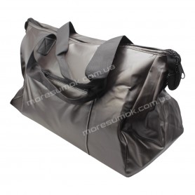 Спортивні сумки 2160 silver Спортивні сумки 2160 silver
