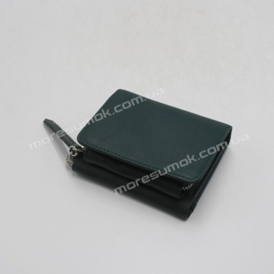 Жіночі гаманці A1828-1838 01 dark green