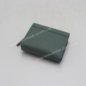 Жіночі гаманці A1828-1838 03 green