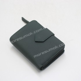 Жіночі гаманці A1840-1850 01 green