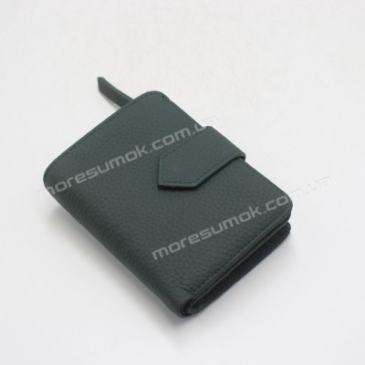 Жіночі гаманці A1840-1850 01 green