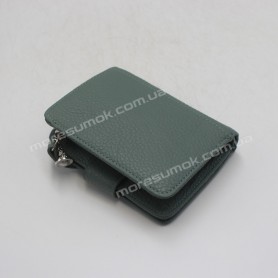 Жіночі гаманці A1840-1850 03 green