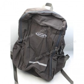 Спортивні рюкзаки 89001 gray
