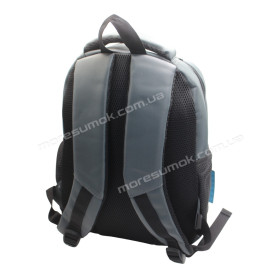Спортивні рюкзаки 8230 gray