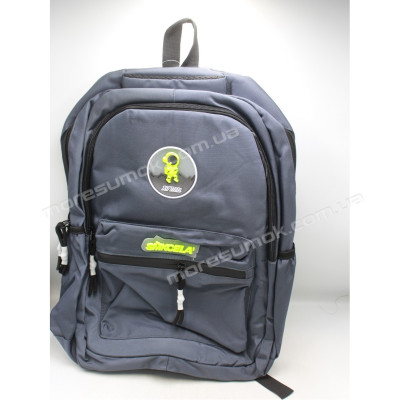 Спортивні рюкзаки HM237 blue