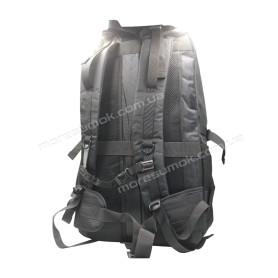 Чоловічі рюкзаки 1808 black