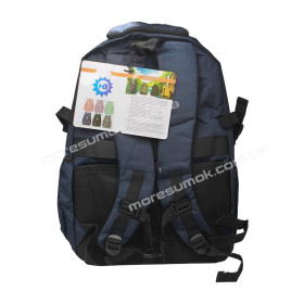 Чоловічі рюкзаки 32HB162 blue