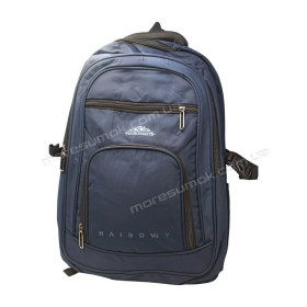 Чоловічі рюкзаки 32HB24 blue