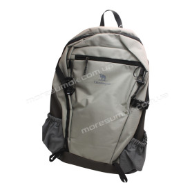 Спортивні рюкзаки 24229-1 dark gray