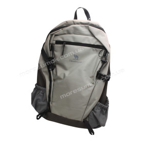 Спортивні рюкзаки 24229-1 dark gray