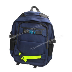 Спортивные рюкзаки Y2041 blue Спортивные рюкзаки Y2041 blue