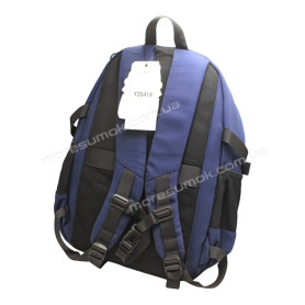 Спортивні рюкзаки Y2041 blue