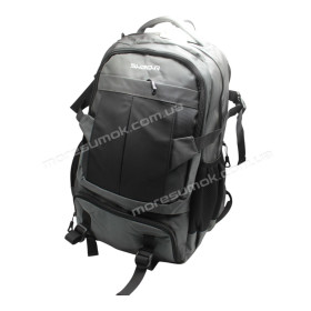 Чоловічі рюкзаки HW8001 gray