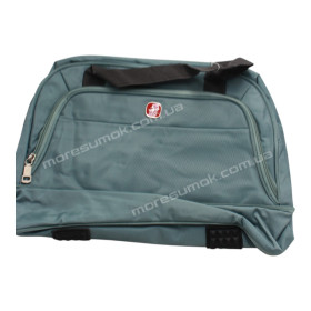 Дорожні сумки 5701B light green