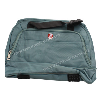 Дорожні сумки 5701B light green