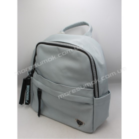 Жіночі рюкзаки MH-83153 light blue
