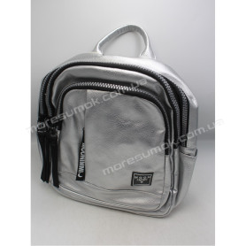 Женские рюкзаки MH-83189 silver