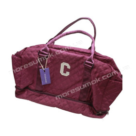 Спортивні сумки 027 dark purple