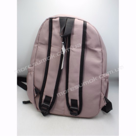 Спортивні рюкзаки Z1919 Ni pink-b