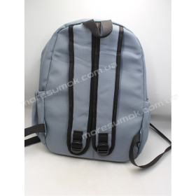 Спортивные рюкзаки Z1919 Ni light blue-b