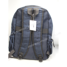 Спортивні рюкзаки 2116 Ni blue-b