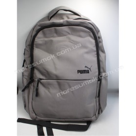 Спортивные рюкзаки 6028 Pu gray