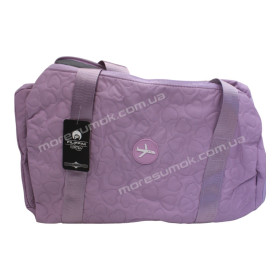 Спортивні сумки 2501 purple