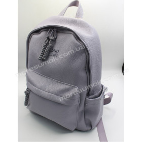 Жіночі рюкзаки MH-831216 purple
