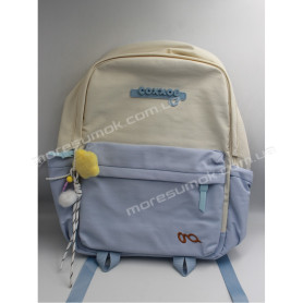 Спортивные рюкзаки CG2091 light blue