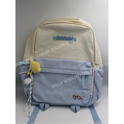 Спортивні рюкзаки CG2091 light blue
