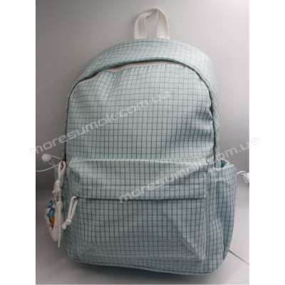 Спортивні рюкзаки 2564 light blue