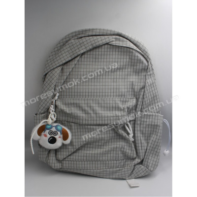 Спортивні рюкзаки 2564 gray