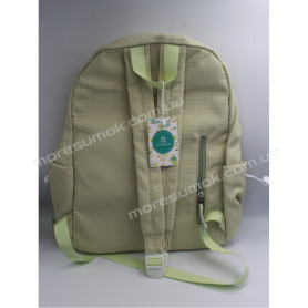 Спортивні рюкзаки 8937 light green Спортивні рюкзаки 8937 light green