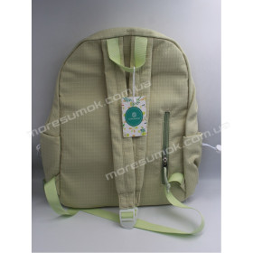 Спортивные рюкзаки 8937 light green