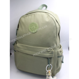 Спортивные рюкзаки CG2062 light green Спортивные рюкзаки CG2062 light green