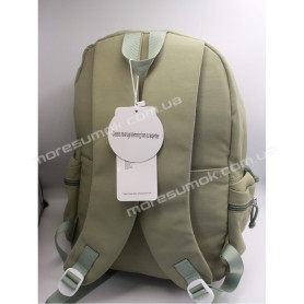 Спортивные рюкзаки CG2062 light green Спортивные рюкзаки CG2062 light green