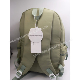 Спортивные рюкзаки CG2062 light green
