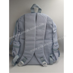 Спортивные рюкзаки CG2062 light blue