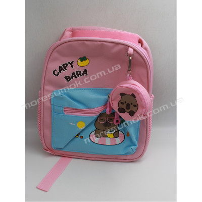 Дитячі рюкзаки 2102 pink-light blue