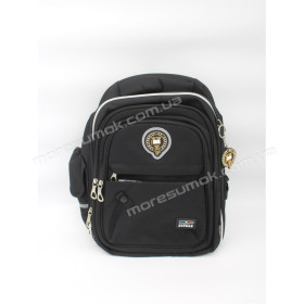Шкільні ранці N2501-33 black