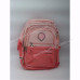 Шкільні ранці N2501-31 pink Шкільні ранці N2501-31 pink
