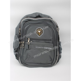 Школьные рюкзаки N2501-31 gray