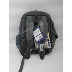 Школьные рюкзаки N2501-31 gray